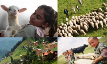 Köy Hayatının Sadeleşen Yaşam Tarzı